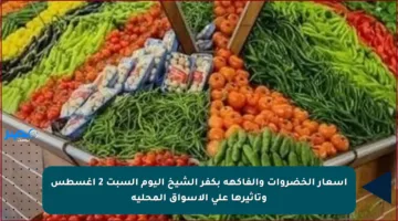 أسعار الخضروات والفاكهة بكفر الشيخ اليوم السبت 2 أغسطس وتأثيرها على الأسواق المحلية